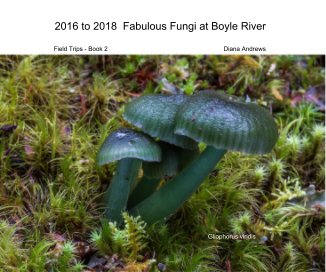 2016 to 2018 Fabulous Fungi at Boyle River book cover