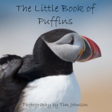 The Little Book of Puffins book cover