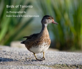 Birds of Toronto book cover