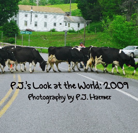 View P.J.'s Look at the World: 2009 by P.J. Harmer