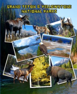 Grand Teton & Yellowstone National Parks book cover