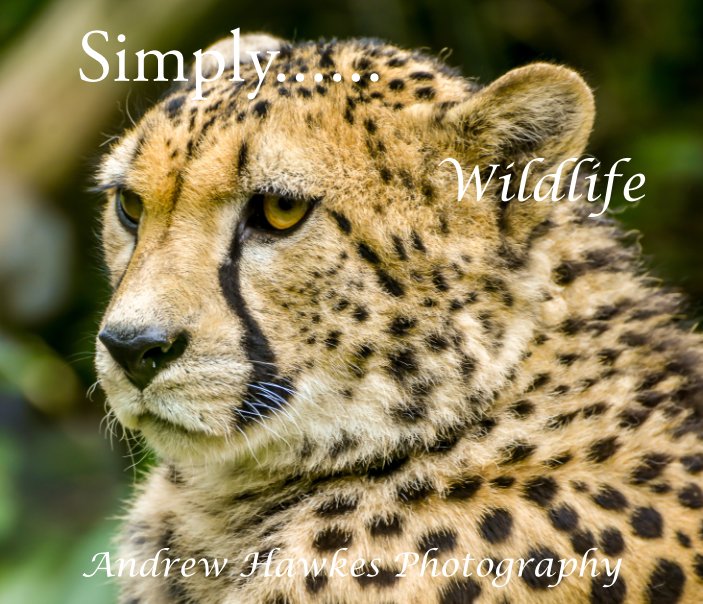 View Simply, Wildlife by Andrew Hawkes MVO RVM