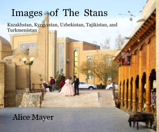 Images of The Stans book cover