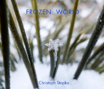 Frozen World book cover