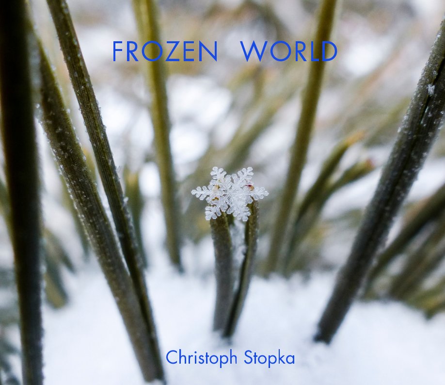 View Frozen World by Christoph Stopka