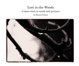 Lost in the Woods book cover
