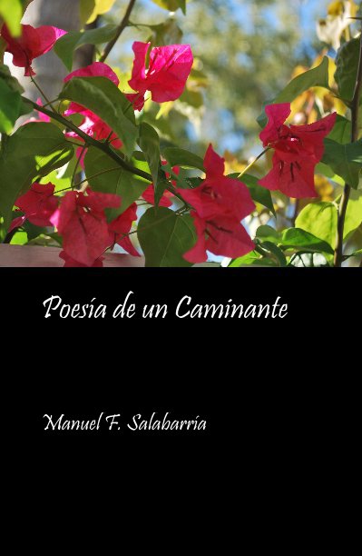 View Poesia de un Caminante by Manuel F. Salabarria