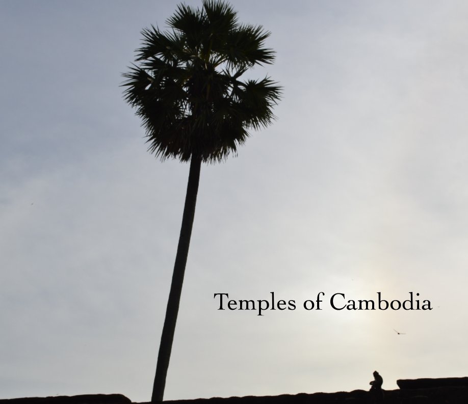 View Temples of Cambodia by Cristiana Piccagli