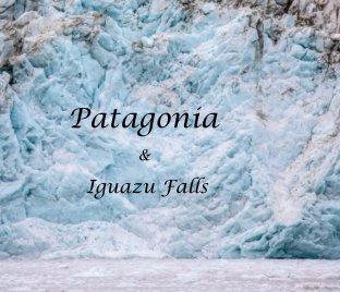 Patagonia and Iguazu Falls book cover
