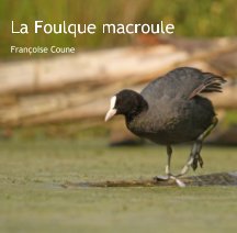 La Foulque macroule book cover