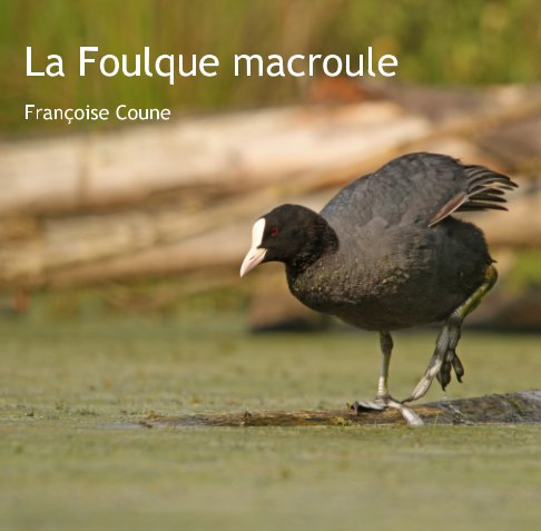 Ver La Foulque macroule por Françoise Coune