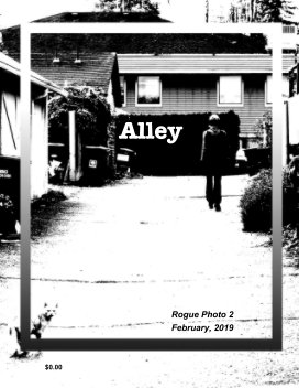Alley book cover