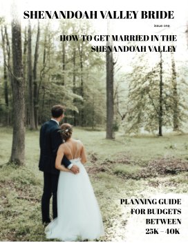 How to get married in the Shenandoah Valley book cover