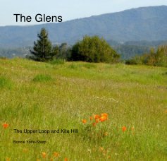 The Glens book cover