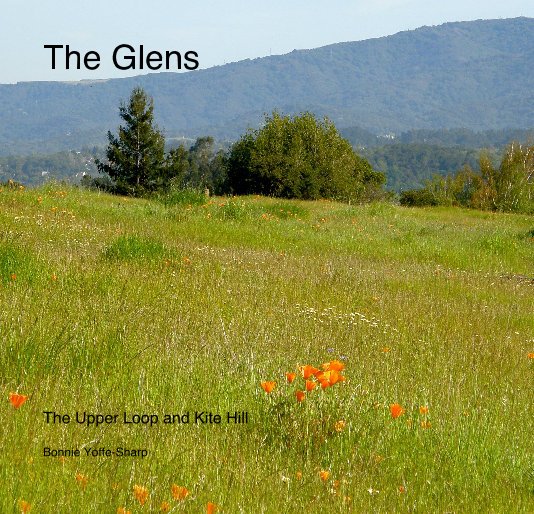 View The Glens by Bonnie Yoffe-Sharp