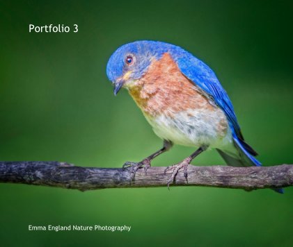Emma England Nature Photography Portfolio book cover