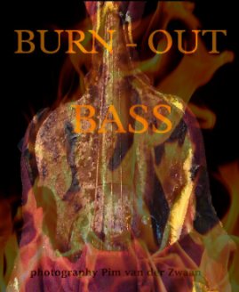 Burn-out Bass book cover