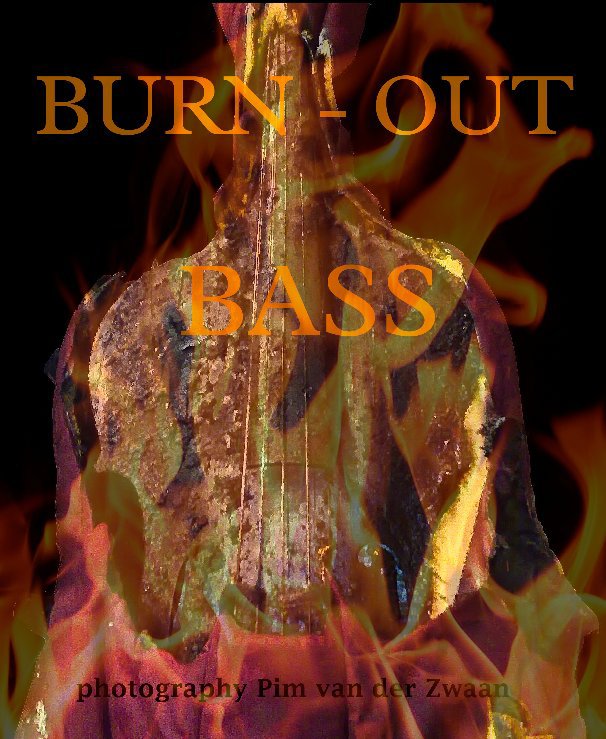 View Burn-out Bass by Pim van der Zwaan