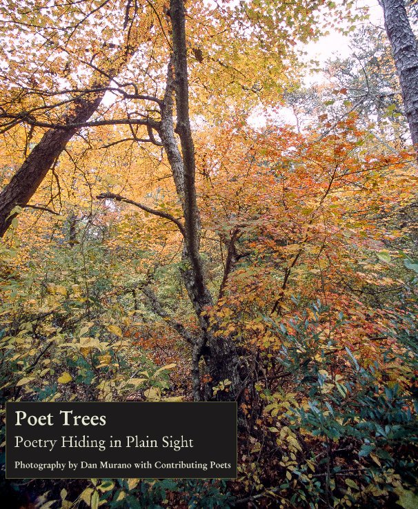 Bekijk Poet Trees op Dan Murano / w Poets