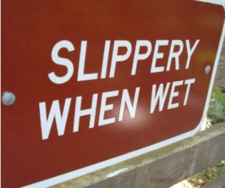 Slippery When Wet book cover
