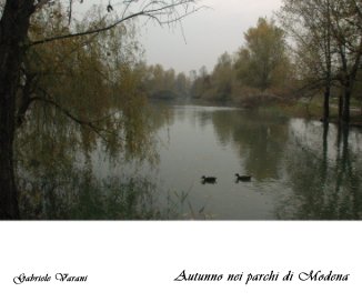 Autunno nei parchi di Modena book cover