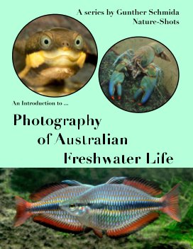Introduction to - Photography of Austalian Freshwater Life book cover