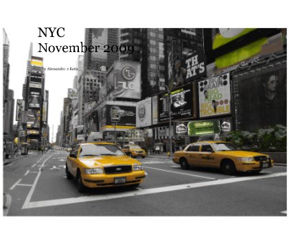 NYC November 2009 book cover