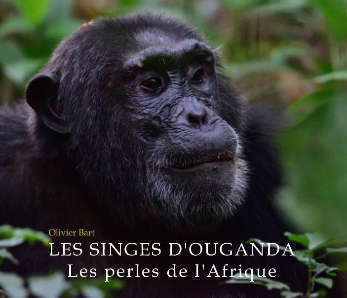 Ver Les Singes d'Ouganda Les perles de l'Afrique por Olivier Bart