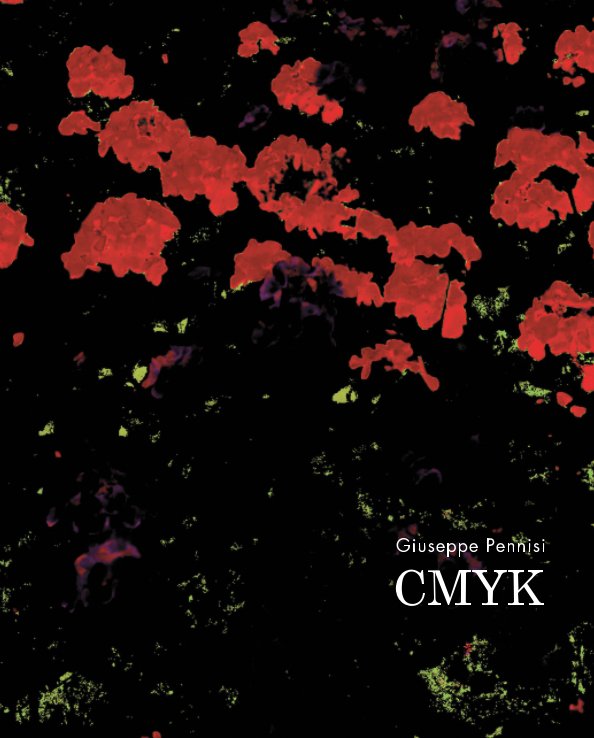 View cmyk by Giuseppe Pennisi