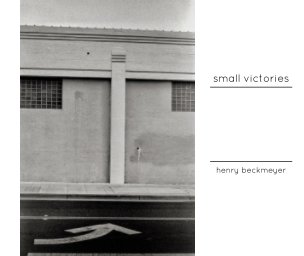 Small Victories book cover