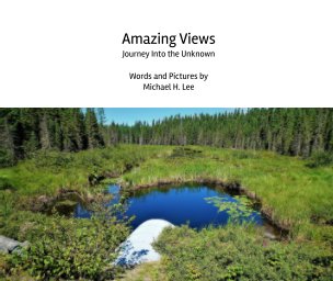 Amazing Views book cover