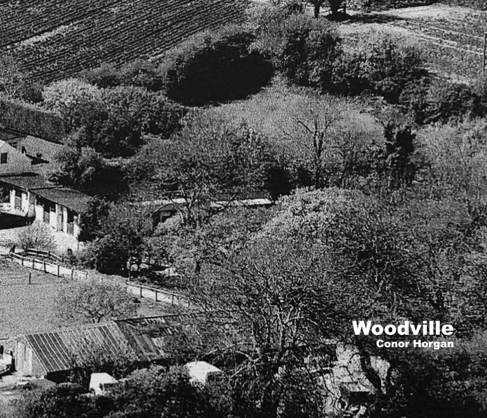 View Woodville by Conor Horgan