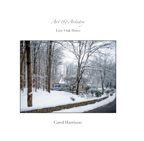 View Art and Artistry by Carol Harrison