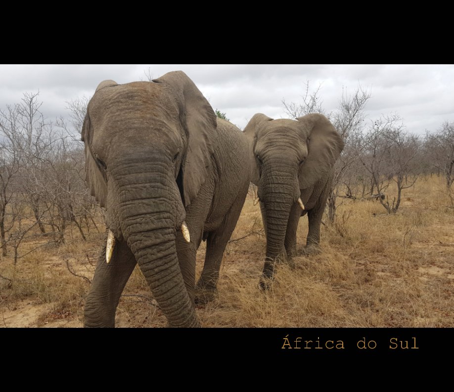 África do Sul nach Tania Strojenski, Eros Roberto anzeigen