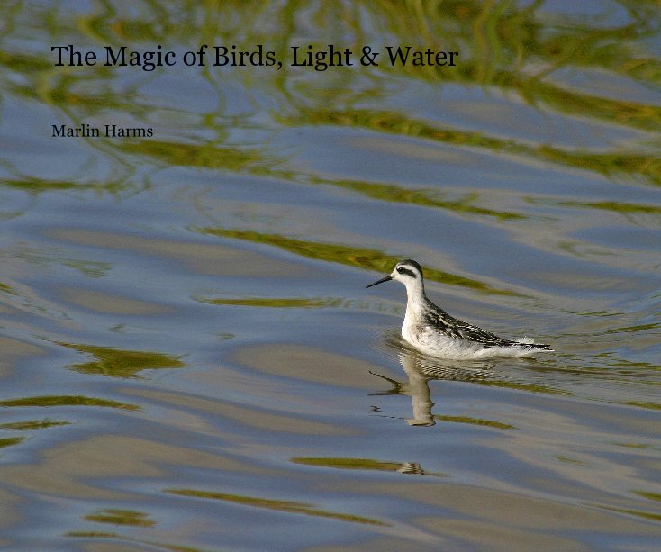 View The Magic of Birds, Light & Water by Marlin Harms