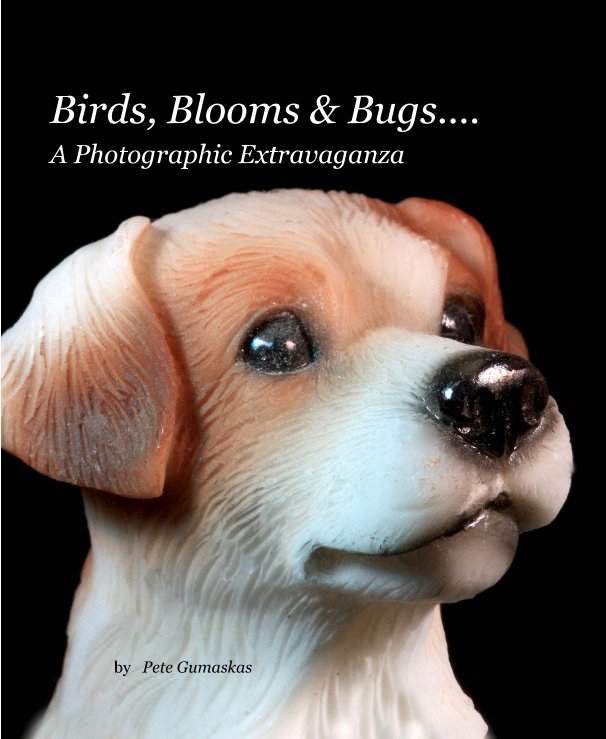 Visualizza Birds,Blooms & Bugs....A Photographic Extravaganza Birds,Blooms & Bugs....A Photographic Extravaganza Birds, Blooms & Bugs.... A Photographic Extravaganza di Pete Gumaskas