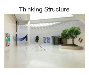 Thinking Structure book cover