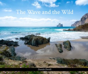 The Wave and the Wild book cover