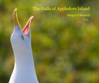The Gulls of Appledore Island book cover