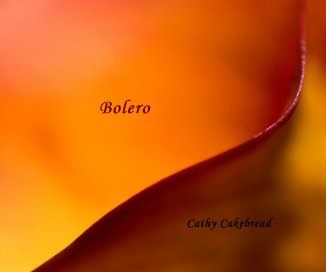 Bolero book cover