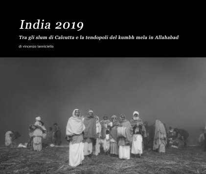 India 2019 book cover