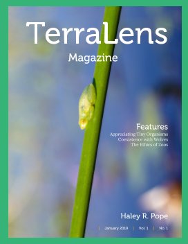 TerraLens Magazine book cover