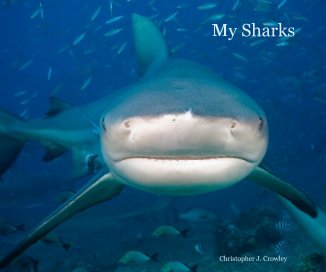 My Sharks book cover