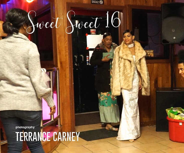 Ver Sweet Sweet 16 por Terrance Carney
