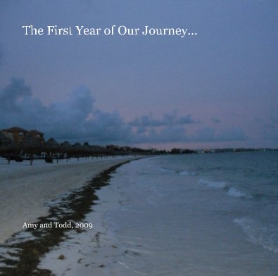 The First Year of Our Journey... book cover