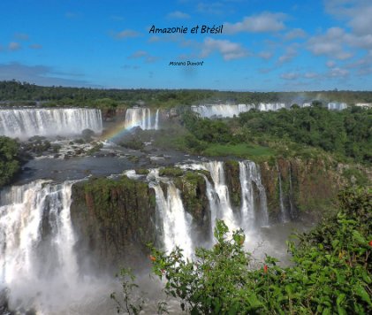 Amazonie et Brésil book cover