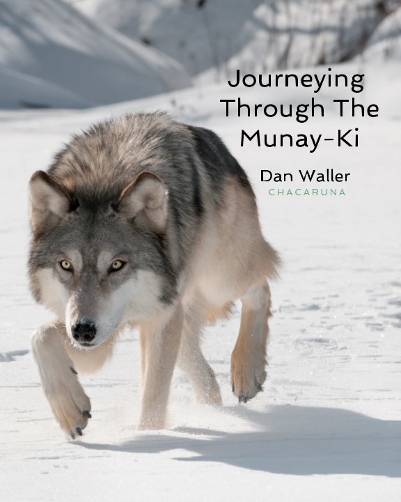 View Journeying Through The Munay-Ki by Dan Waller