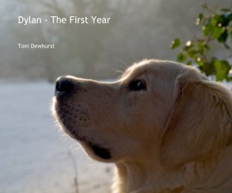 Dylan book cover