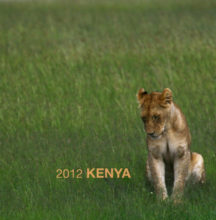 View 2012 Kenya by Popi Laudico