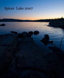 Spicer  Lake 2007 book cover